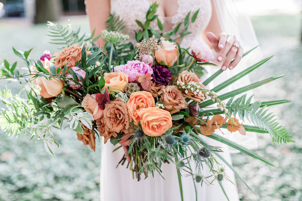 Palm photo on website for St. Pete photographer