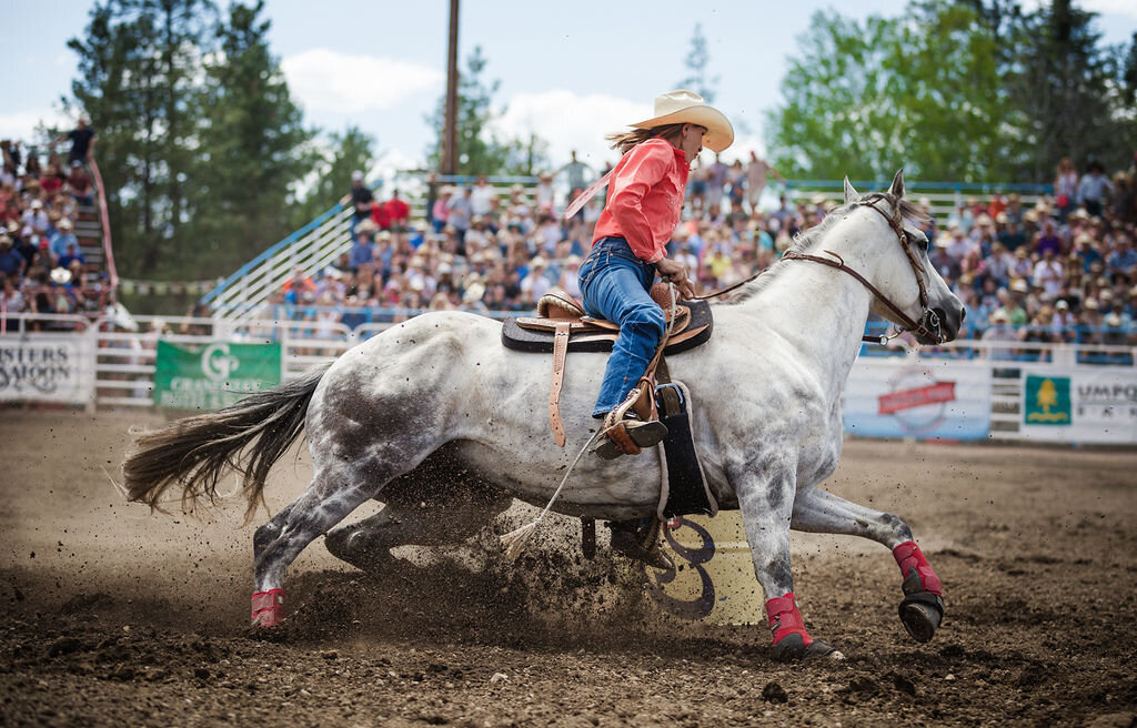 20240608_kya-photography-equestrian-photographer_0017