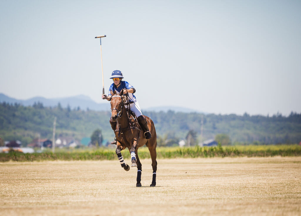 20220626_kya-photography-equestrian-photographer_0012