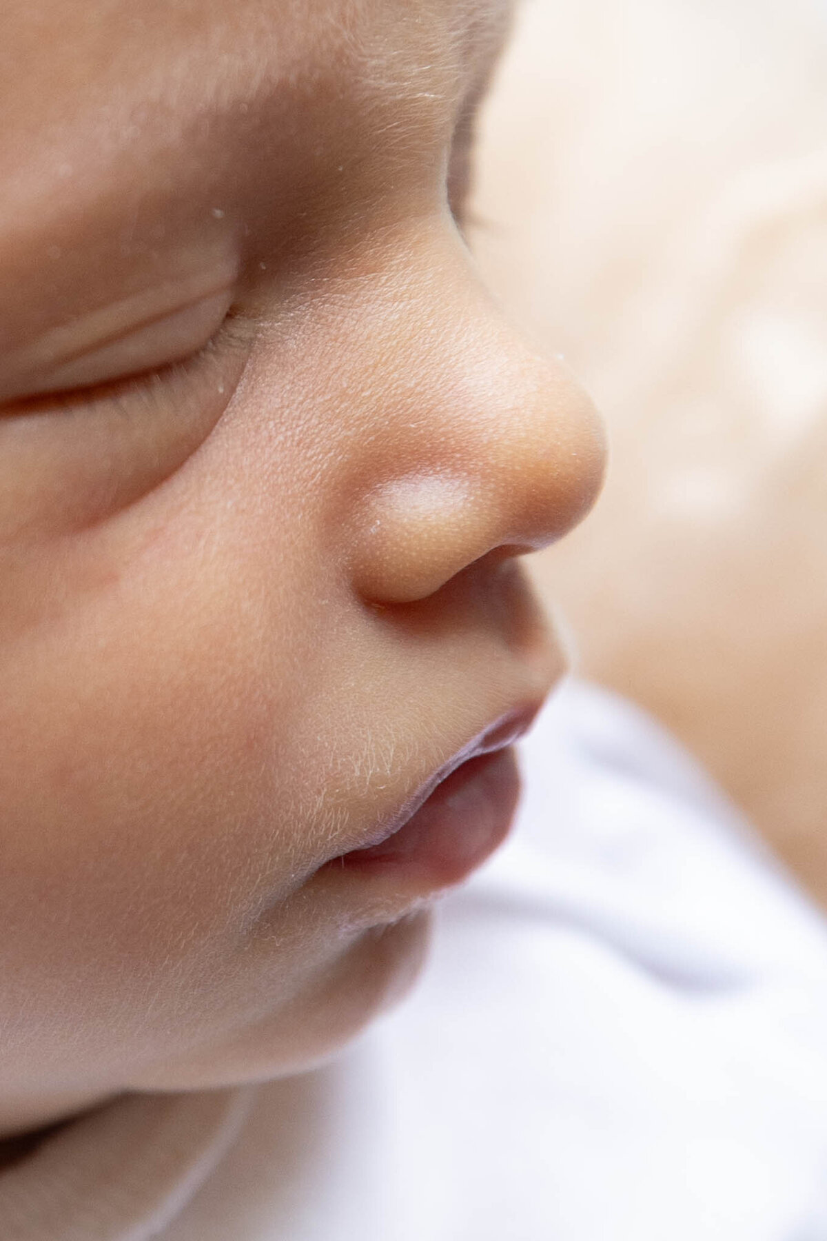 newbornphotographer6