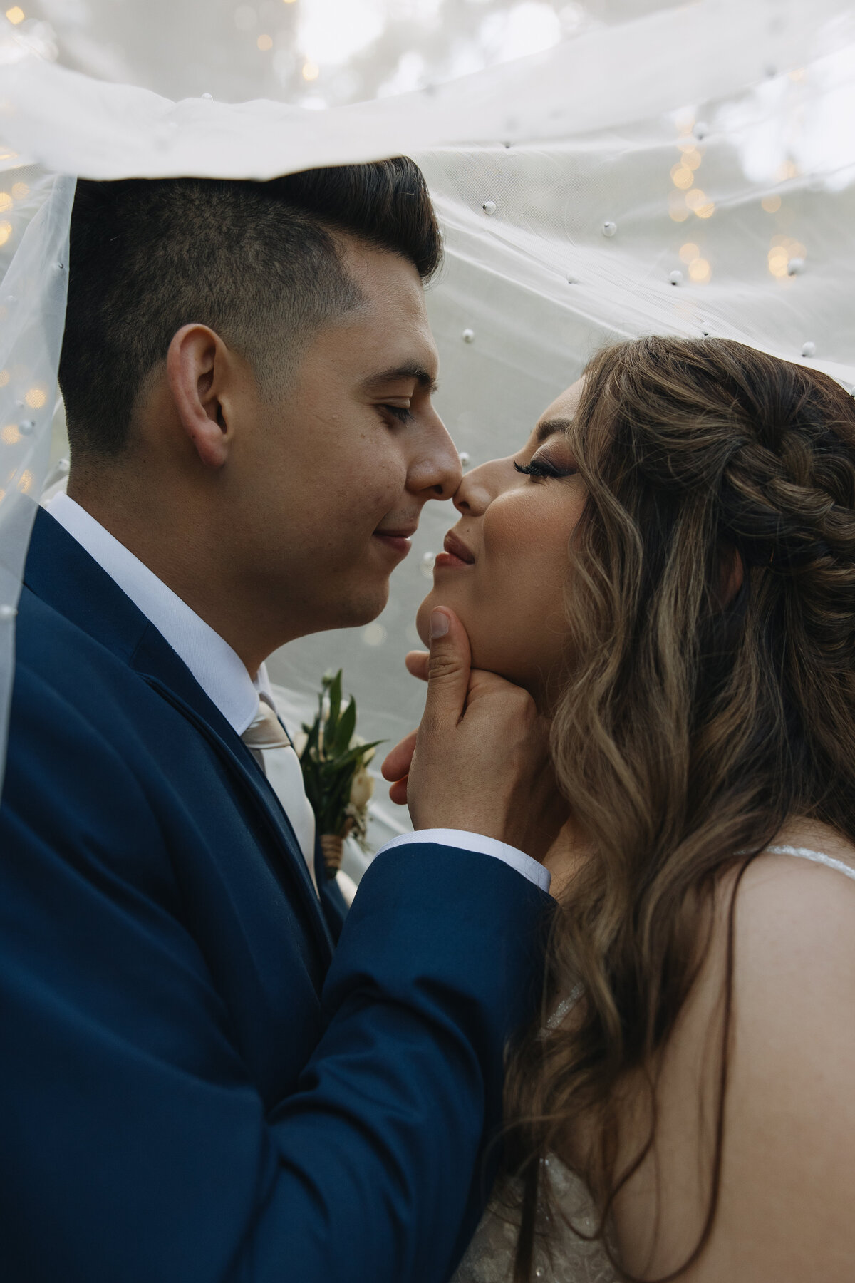 green gables wedding photos, under the veil shot, groom holding bride's face 