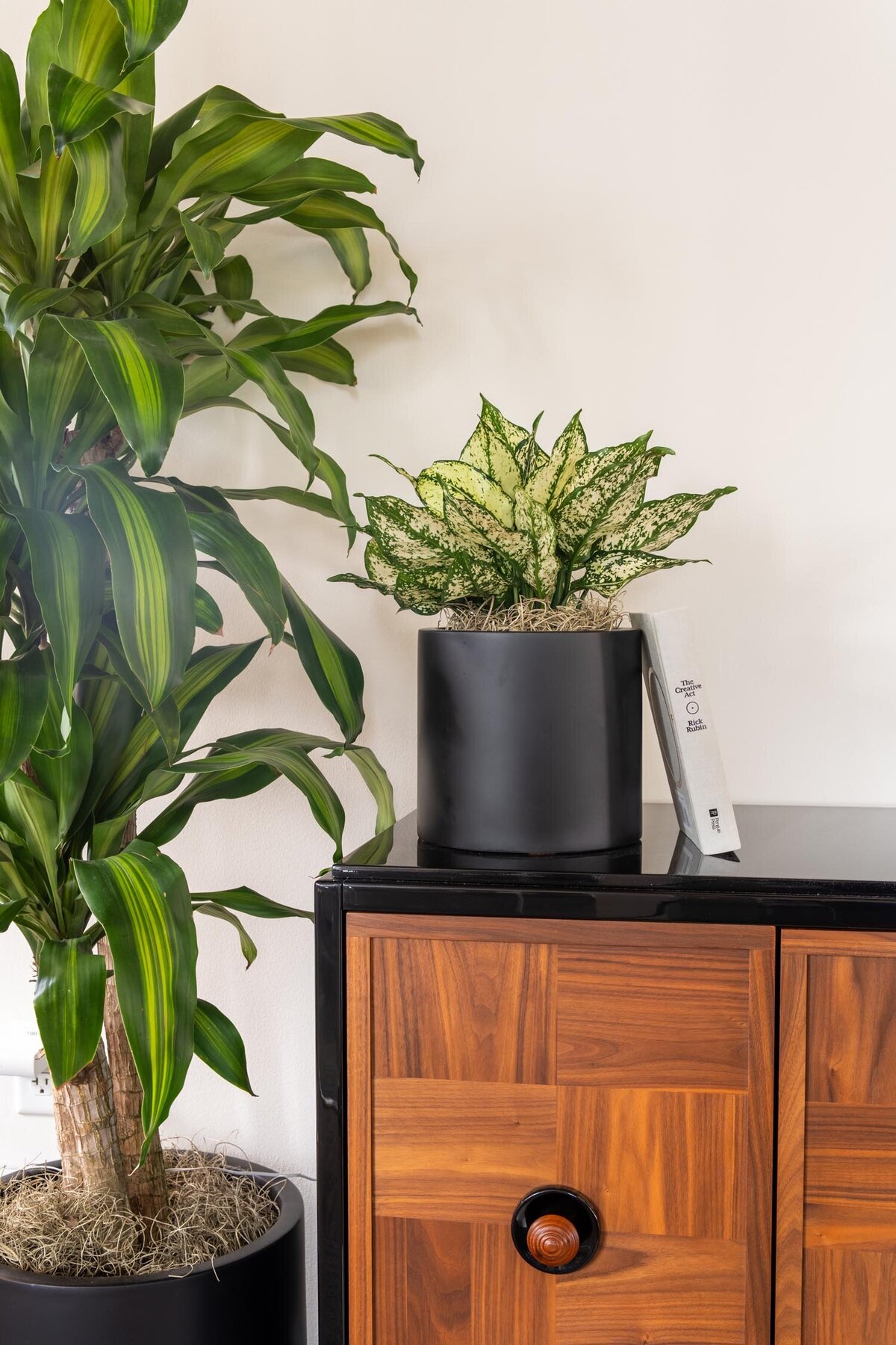 Close-up of two potted indoor plants arranged beside a walnut cabinet with black accents and a book displayed upright.