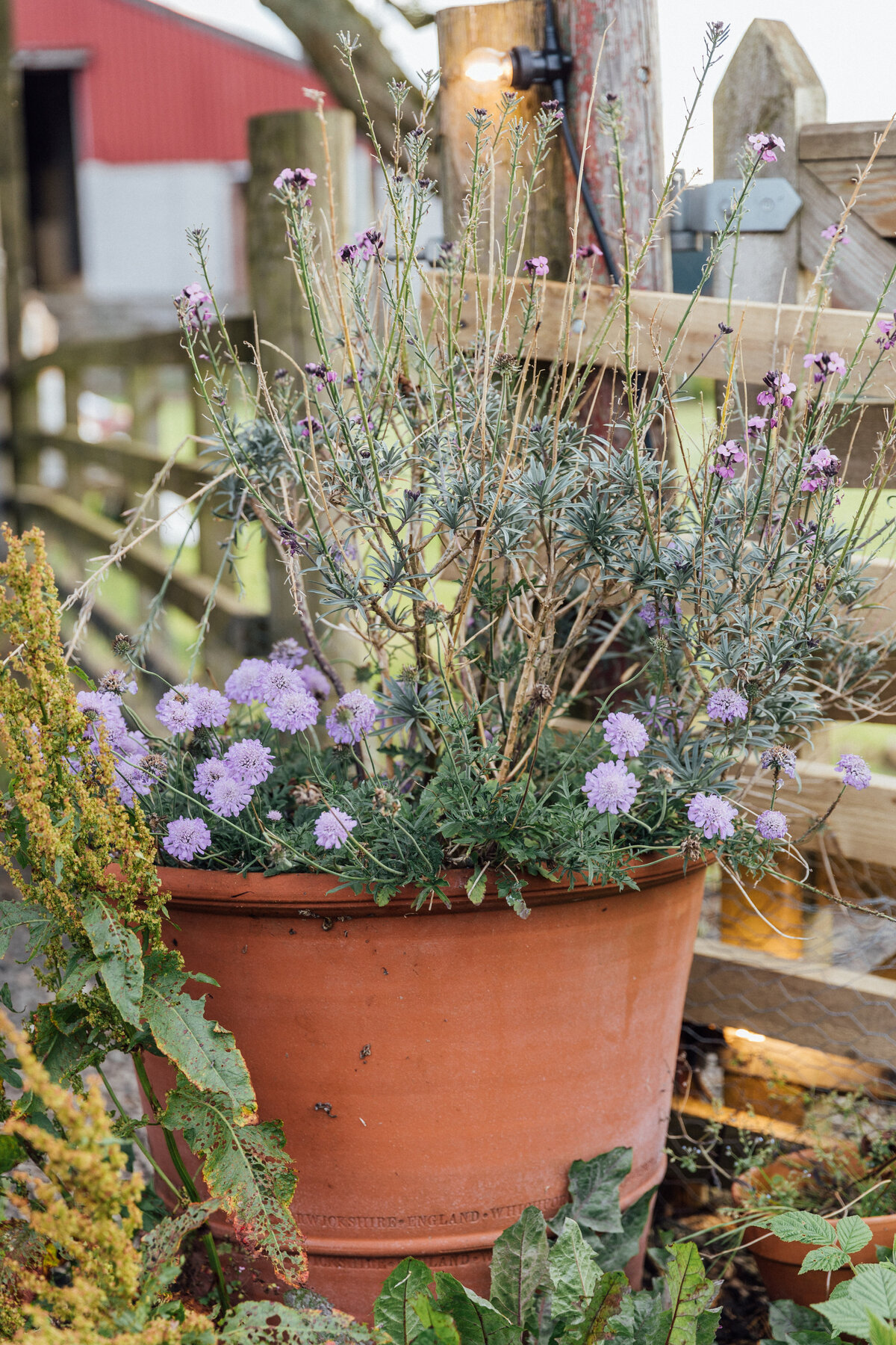 The Free Company wedding  flowers