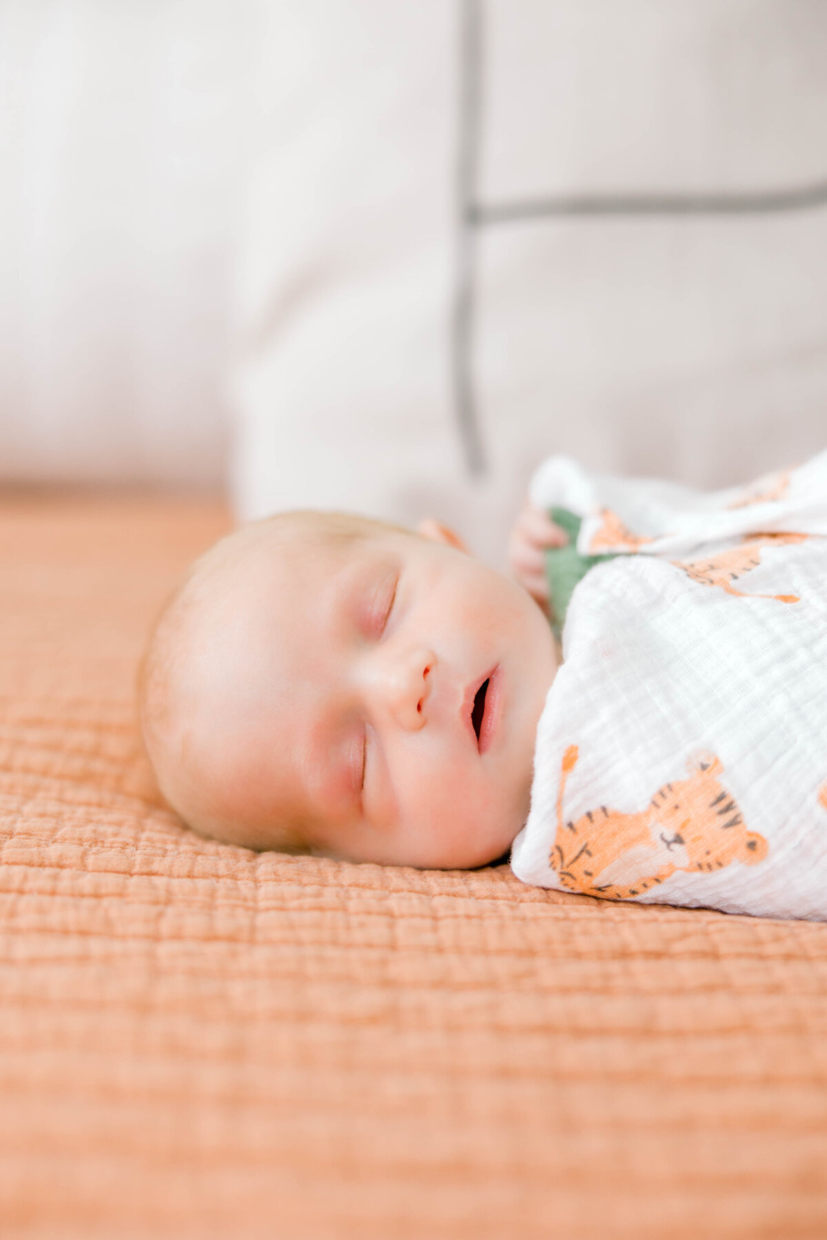 Powell Newborn-50