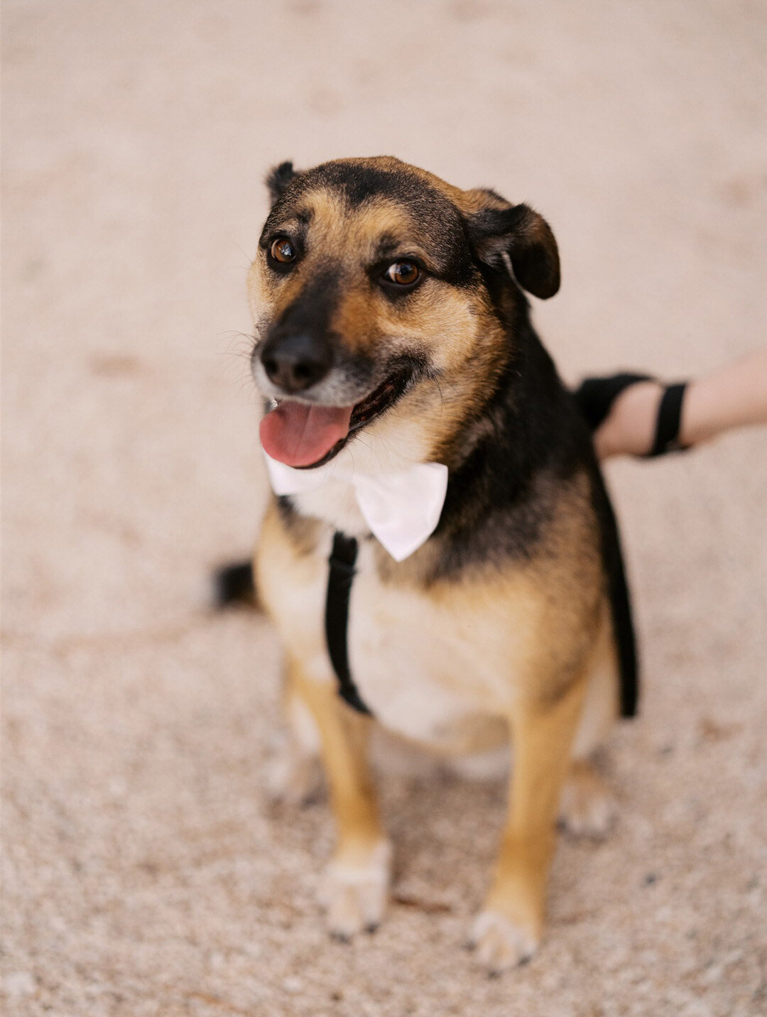 Welcome Party from Wedding at Palmetto Bluff South Carolina by GoBella.com @gobelladesign 45