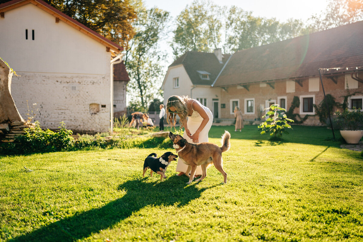 web_cikrtovi-wed-439