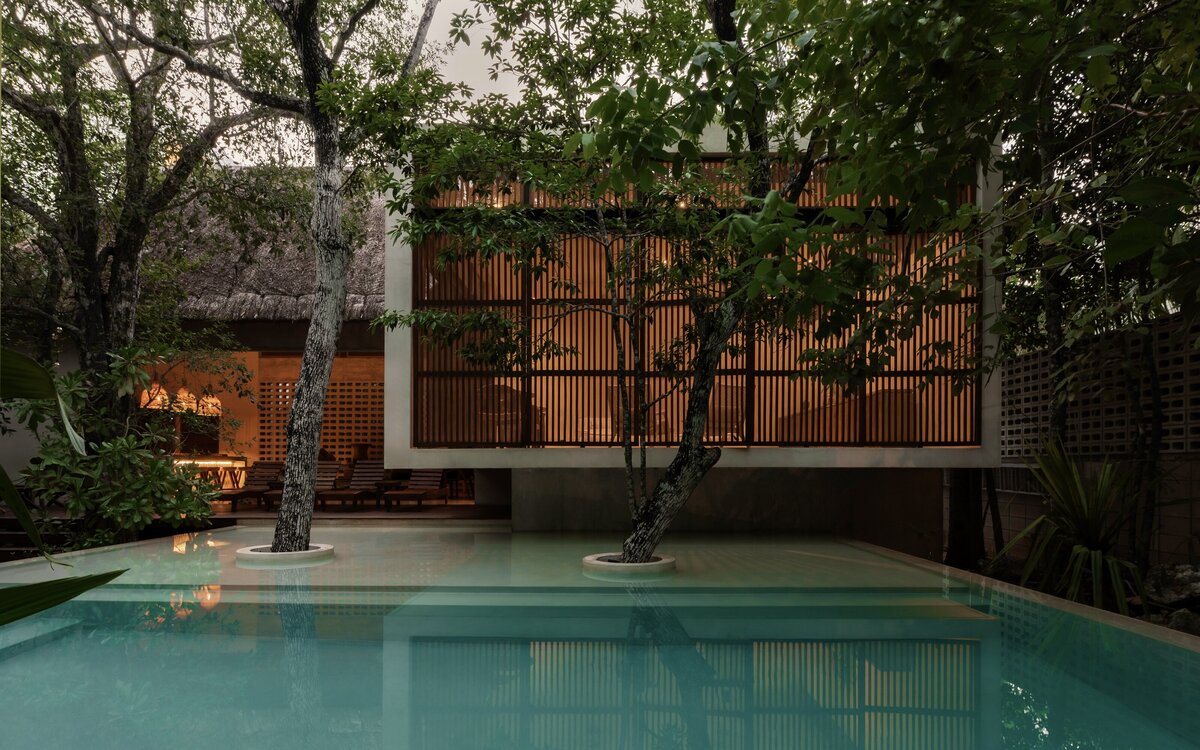 Palms Real Estate Group - Jungle Keva Tulum15