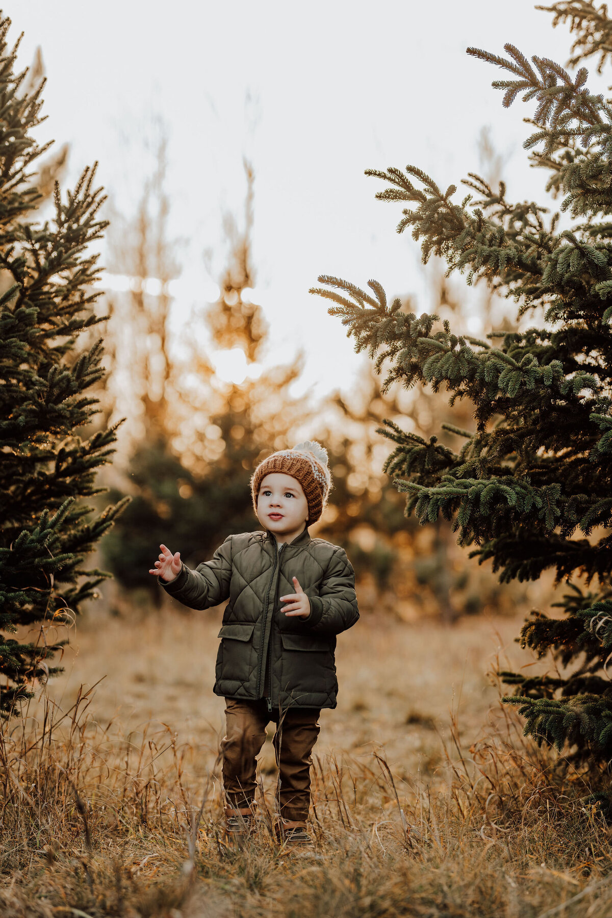 michigan family photographers10