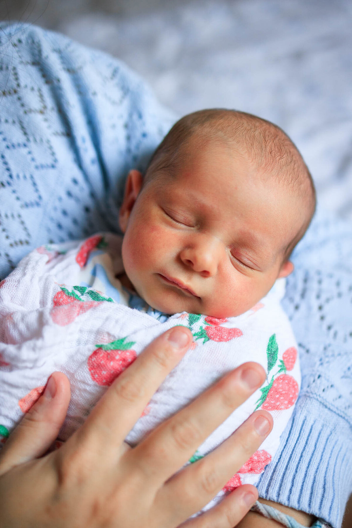 Portrait of a newborn baby girl during a Santa Monica Newborn Photography session with Marjorie Cohen.