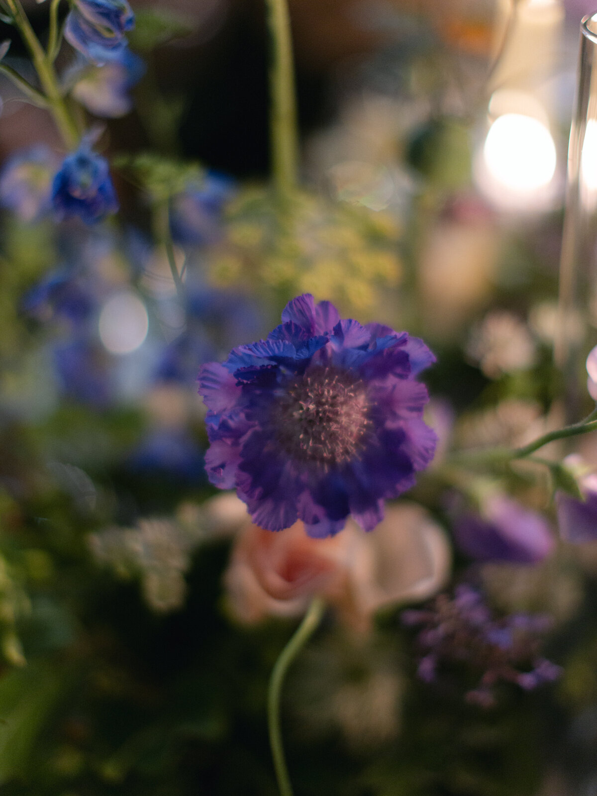 anna-luke-wedding-Holly Clark Photography-1252