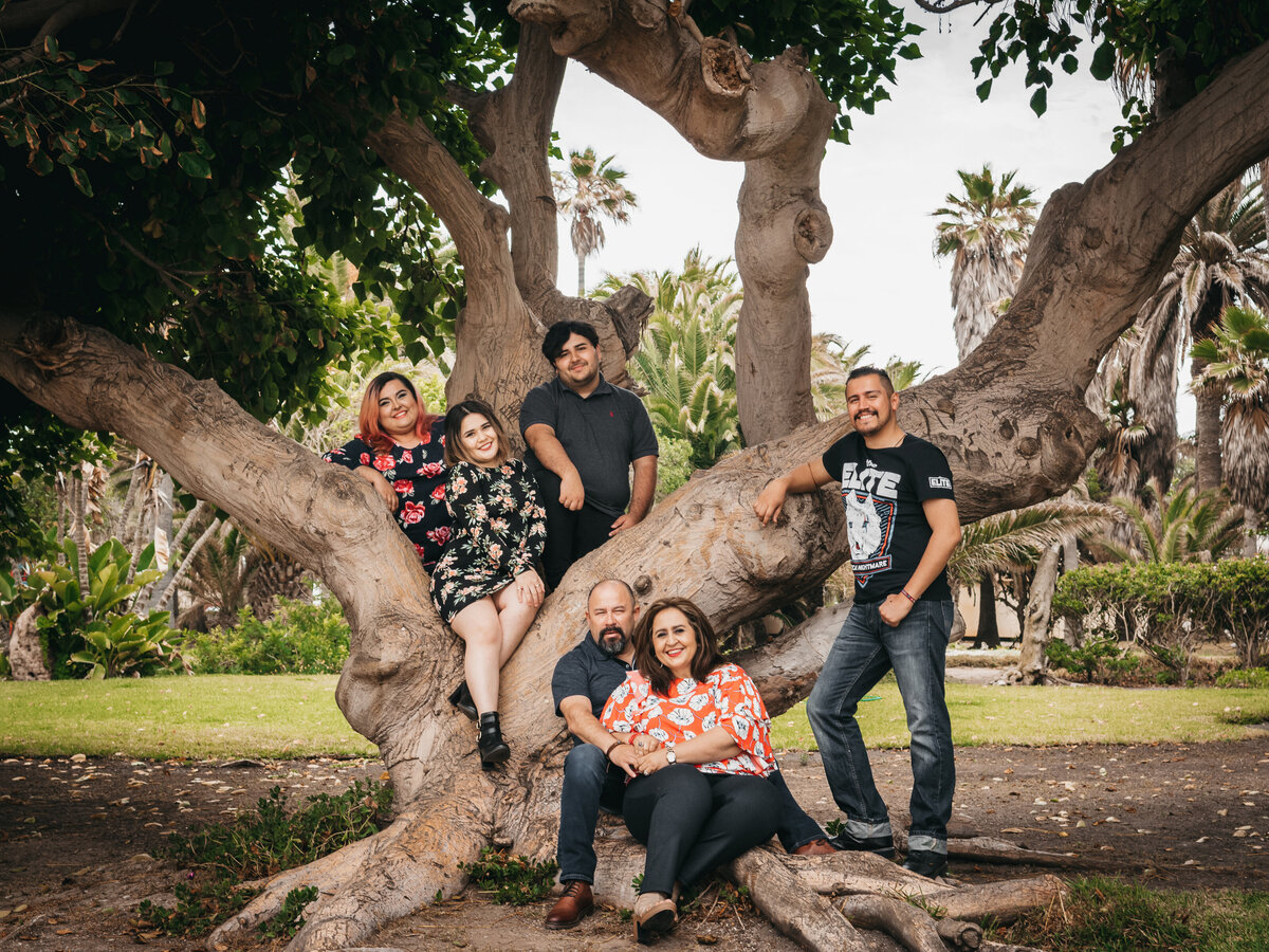 Familia-28