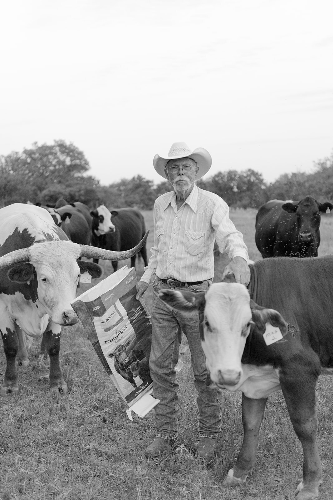 Luxury_Wedding_Photographer_Texas_Erin_Marcin_Photography_Film-134