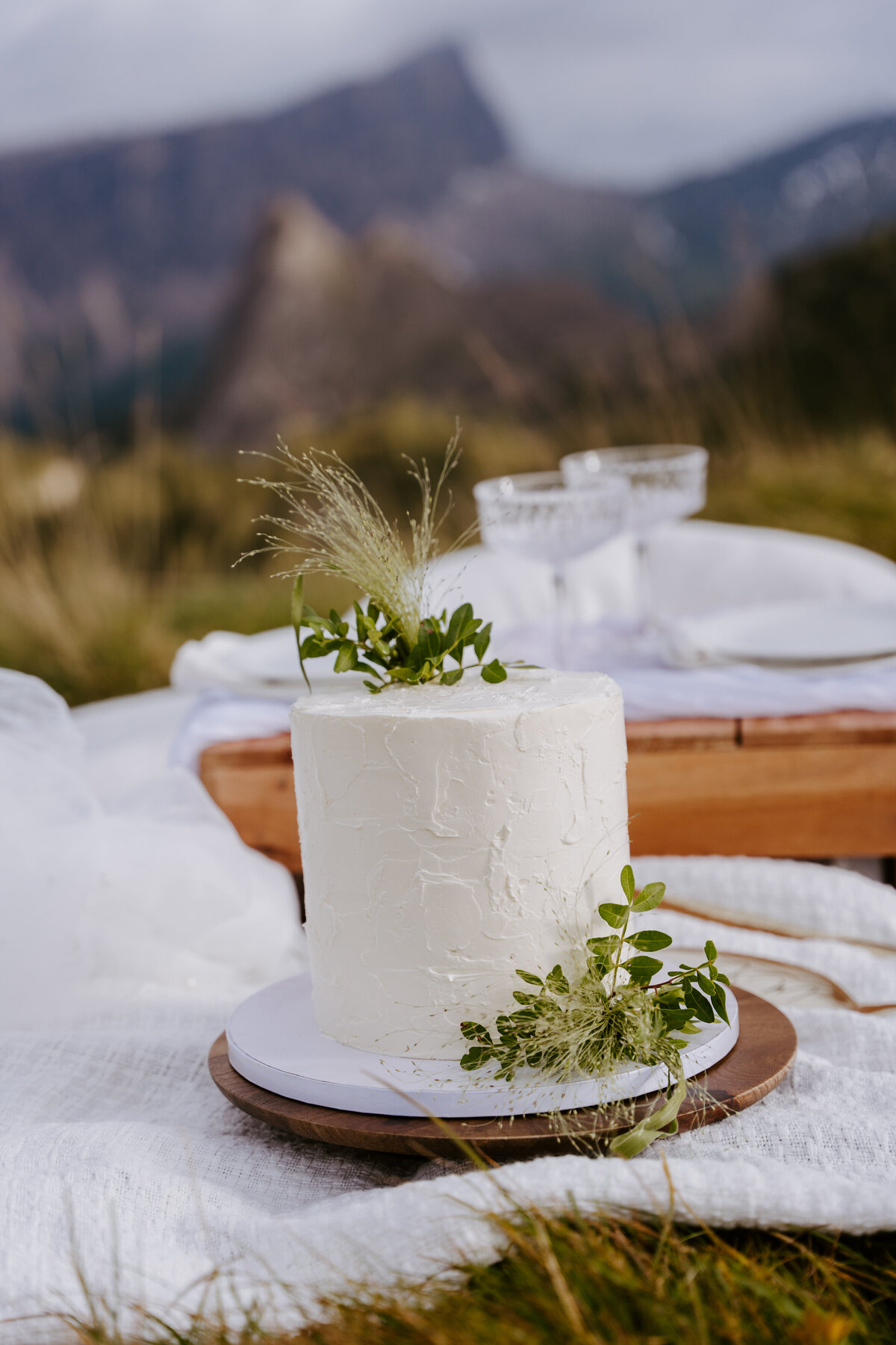 Small white wedding cake with greenery on outdoor picnic table.