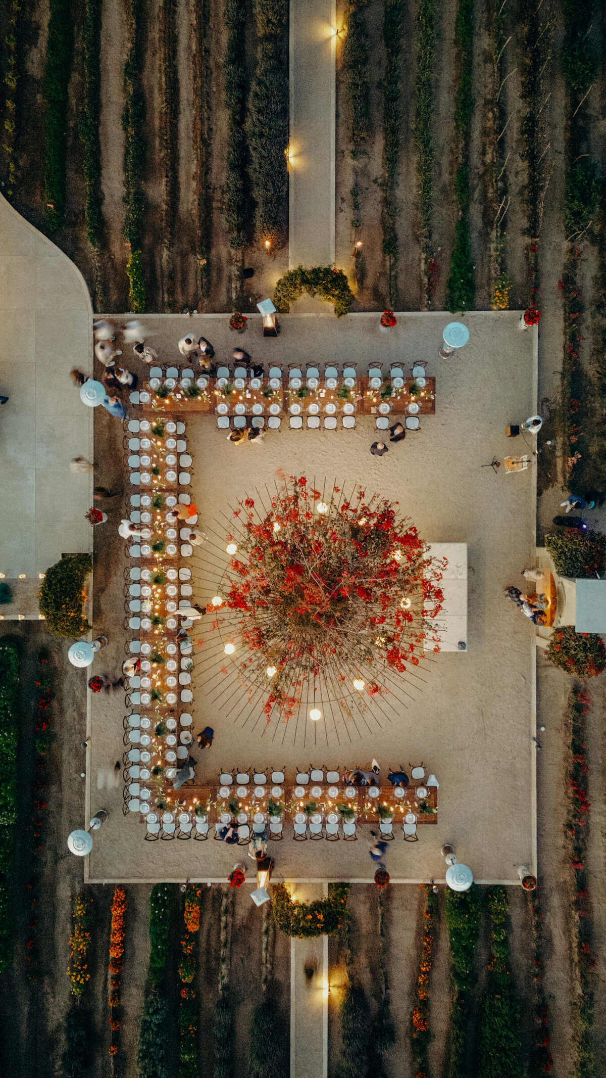 Todos-Santos-Wedding-28