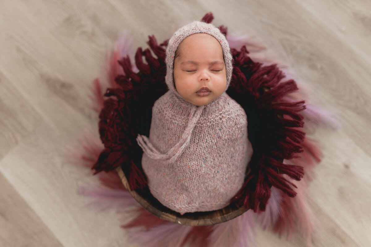 Elizabeth Priniski Madison Newborn Photogapher - Surya-5