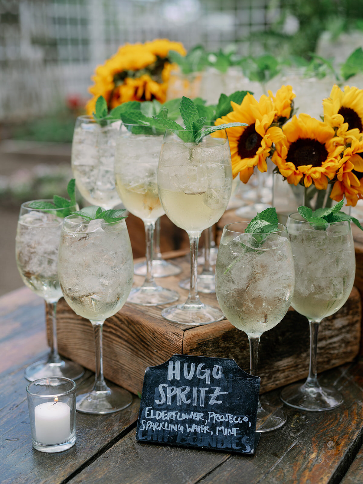 Rehearsal Previews-Liz Andolina Photography-3
