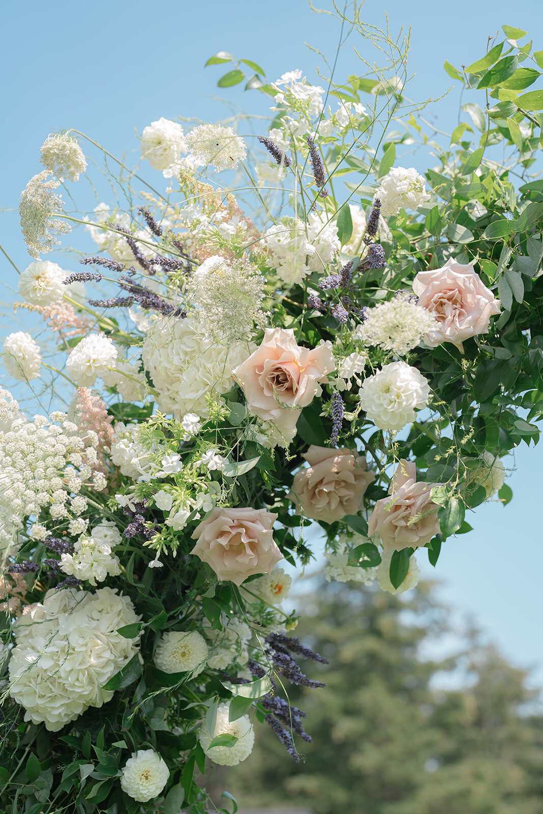 Ginny & Adam_s Wedding - Sneak Peeks -38