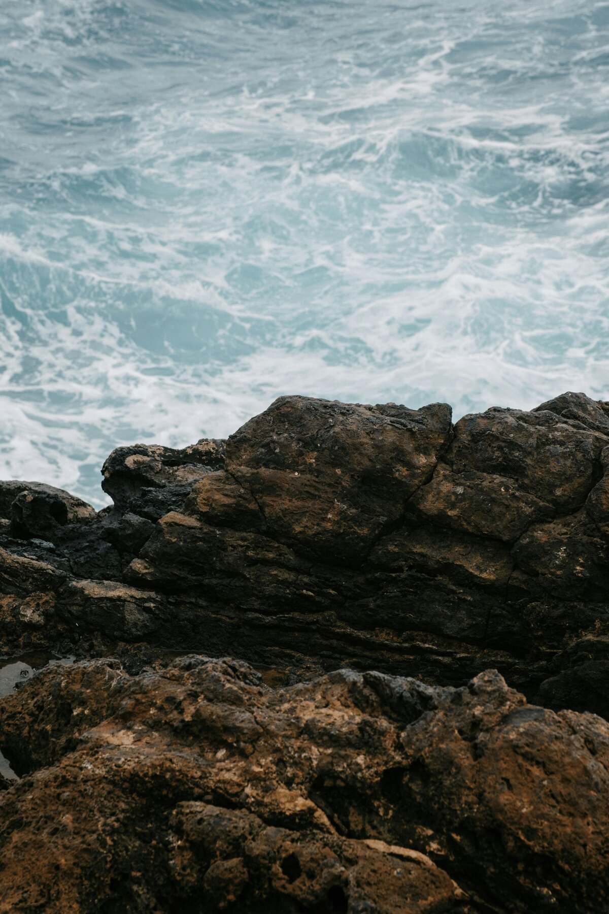 pexels-matreding-28588336