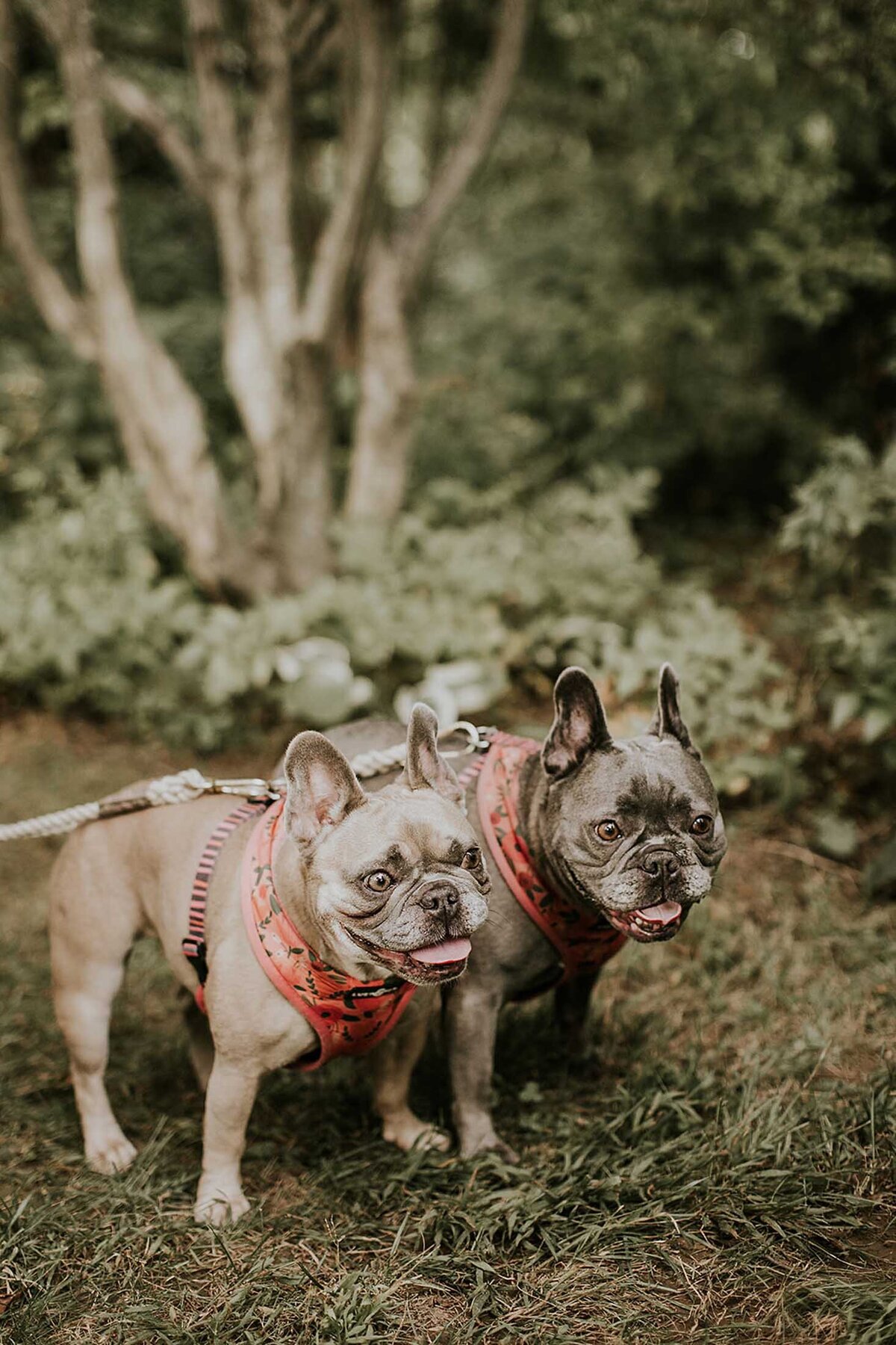 jaclyn-fisher-events-planning-joyful-fall-wedding-in-new-hope-98