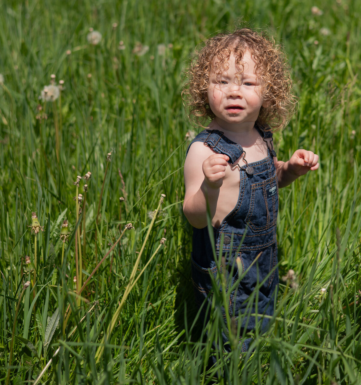 Daisy & Liam_2025_001