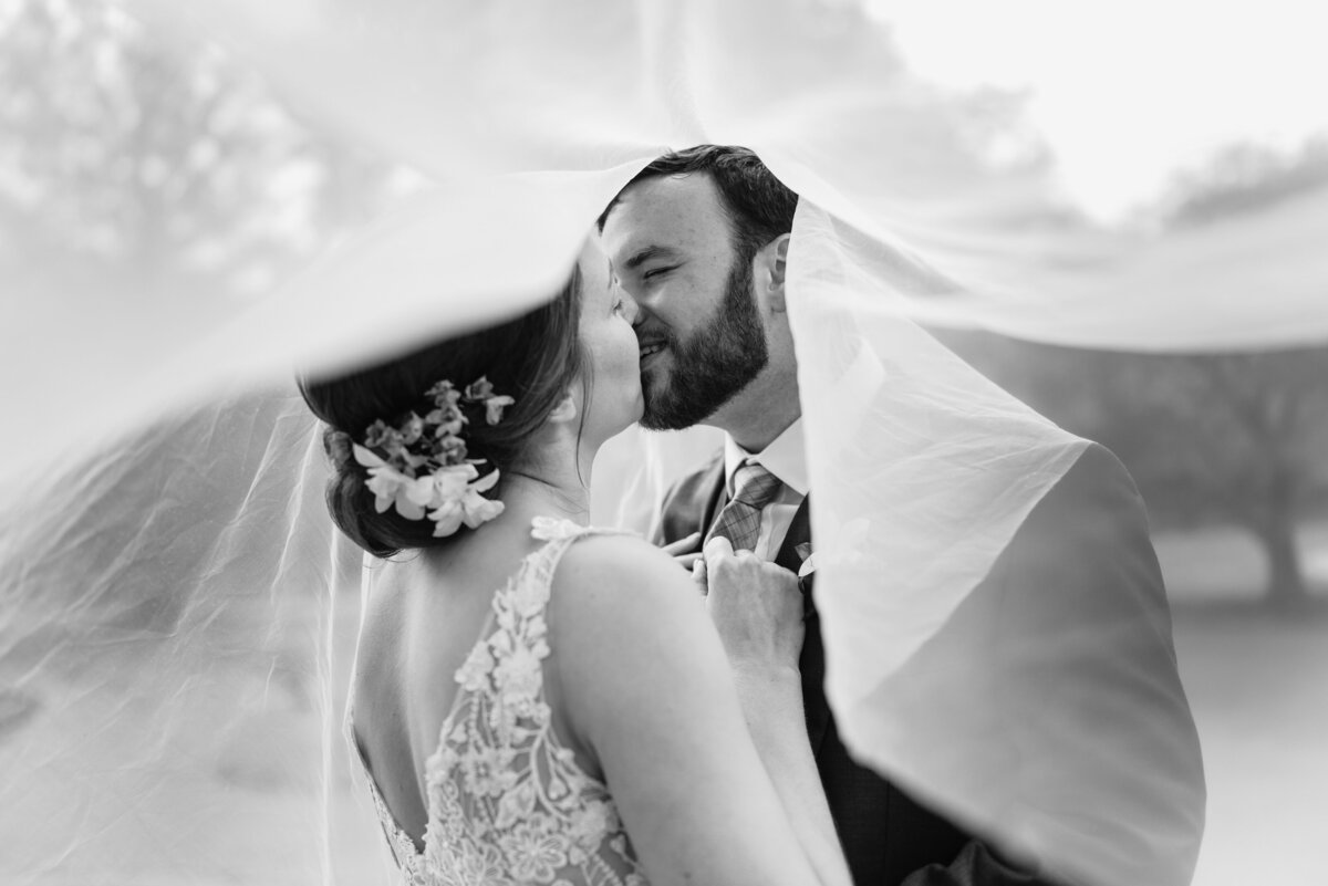 boston commons veil bridal portraits