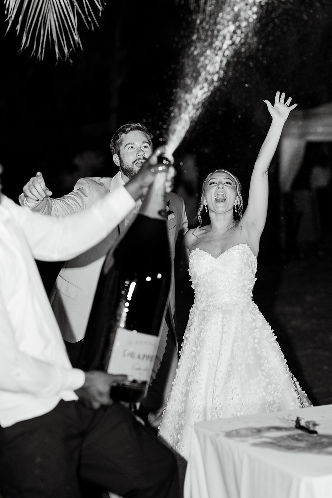 meliandchrisphoto_reception-35_websize