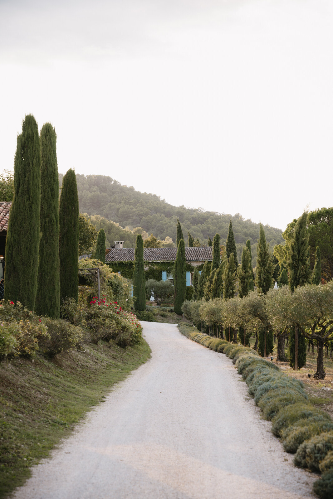 2Flora_And_Grace_Provence_BastideDeMarie_Editorial_Wedding_Photographer (32 von 463)