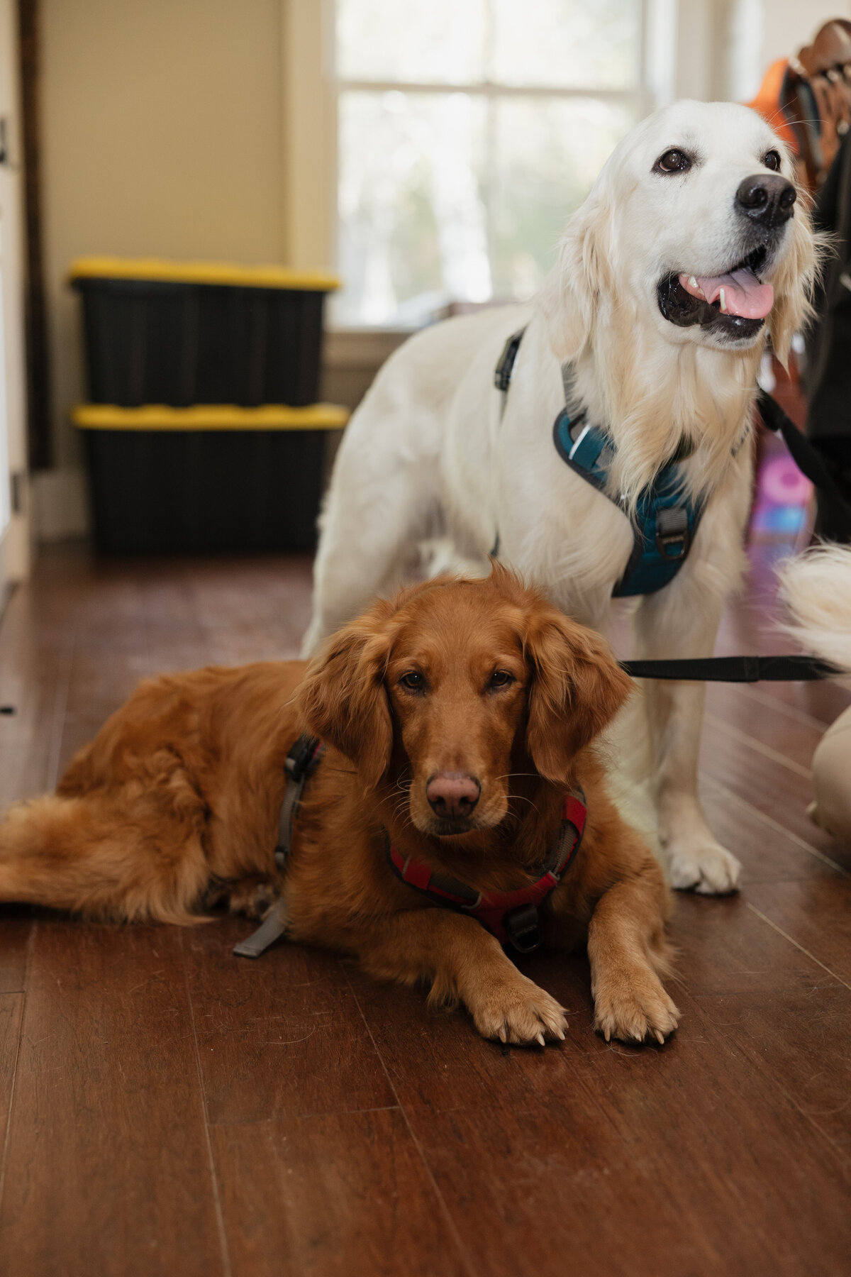 K. Lauren Photography - The Grants-4