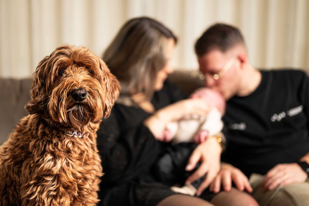 Spontane buitenshoot in de natuur met natuurlijk licht, vastgelegd door Studio 2Shoot op locatie in Zuid-Limburg.