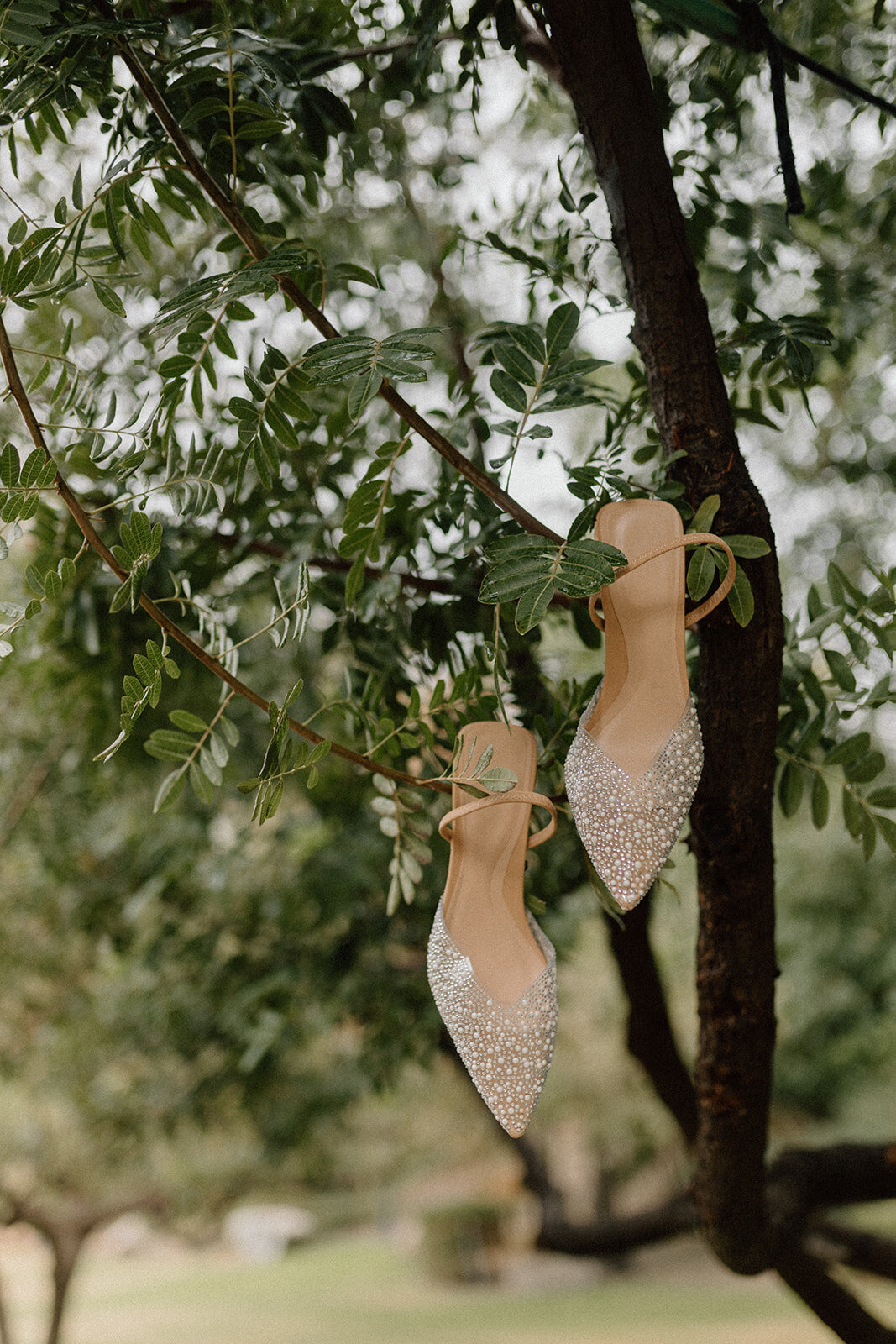 californiarainywedding24-137