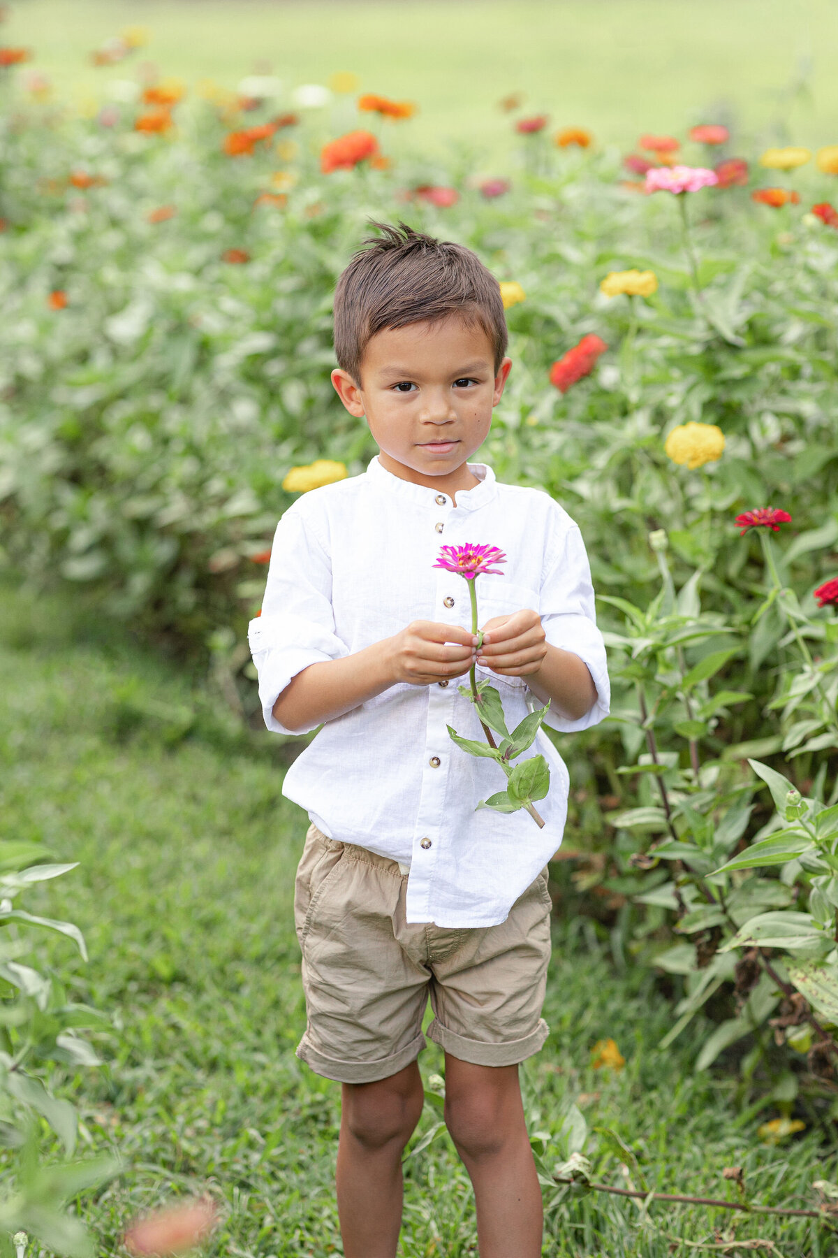 Boy holding a pink flower in Chickapoo farm