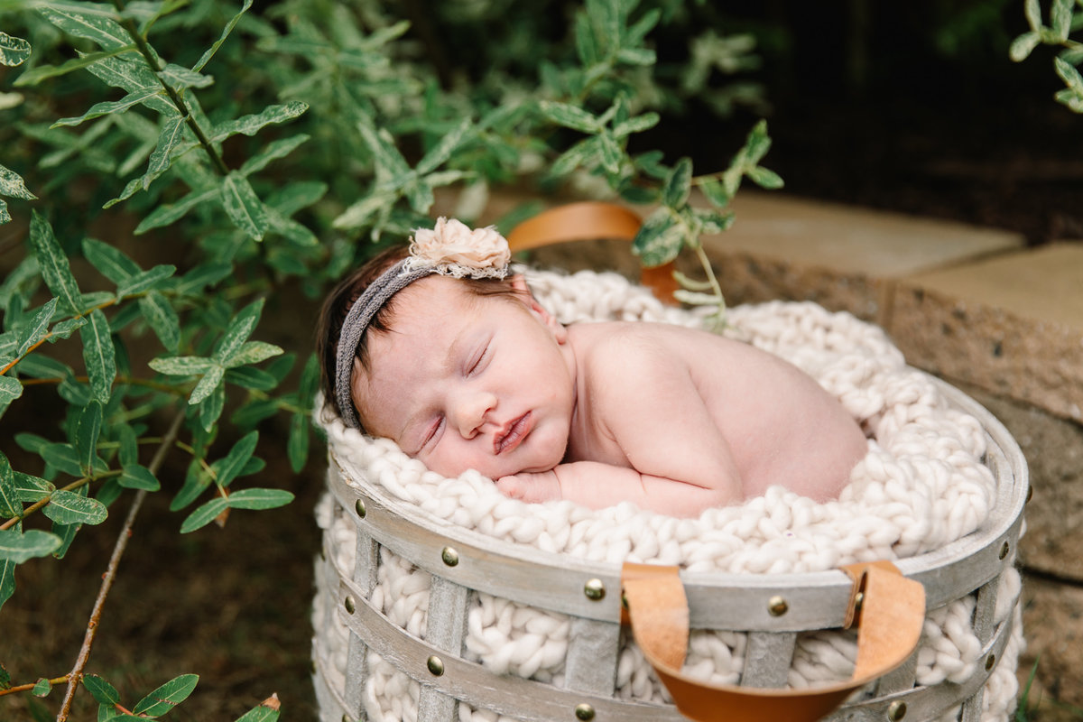 raleigh newborn photographer-lena-9044