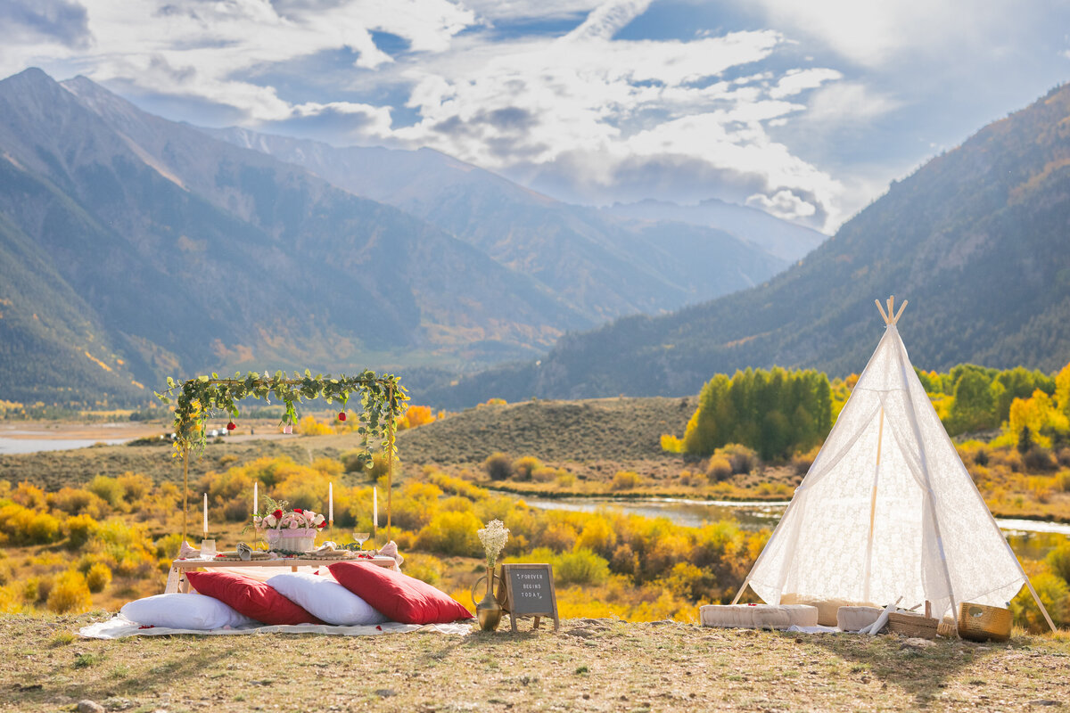 Swati and Anisha Proposal-10