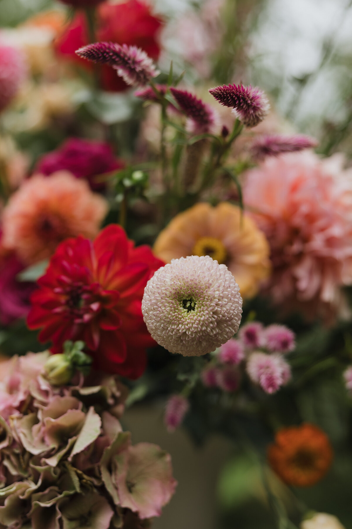 Wedding Photographer in Niagara