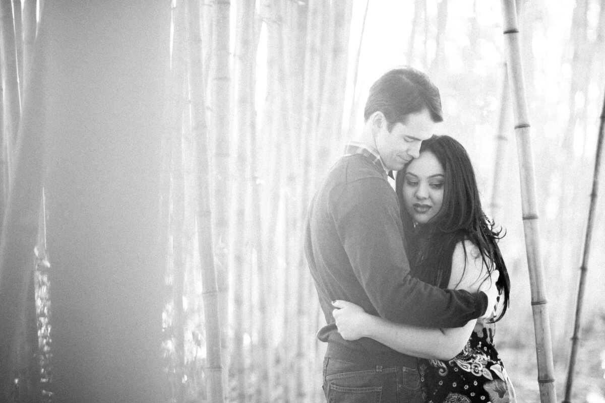 Monochrome image of a man holding a woman in a loving embrace, surrounded by the soft blur of bamboo stalks