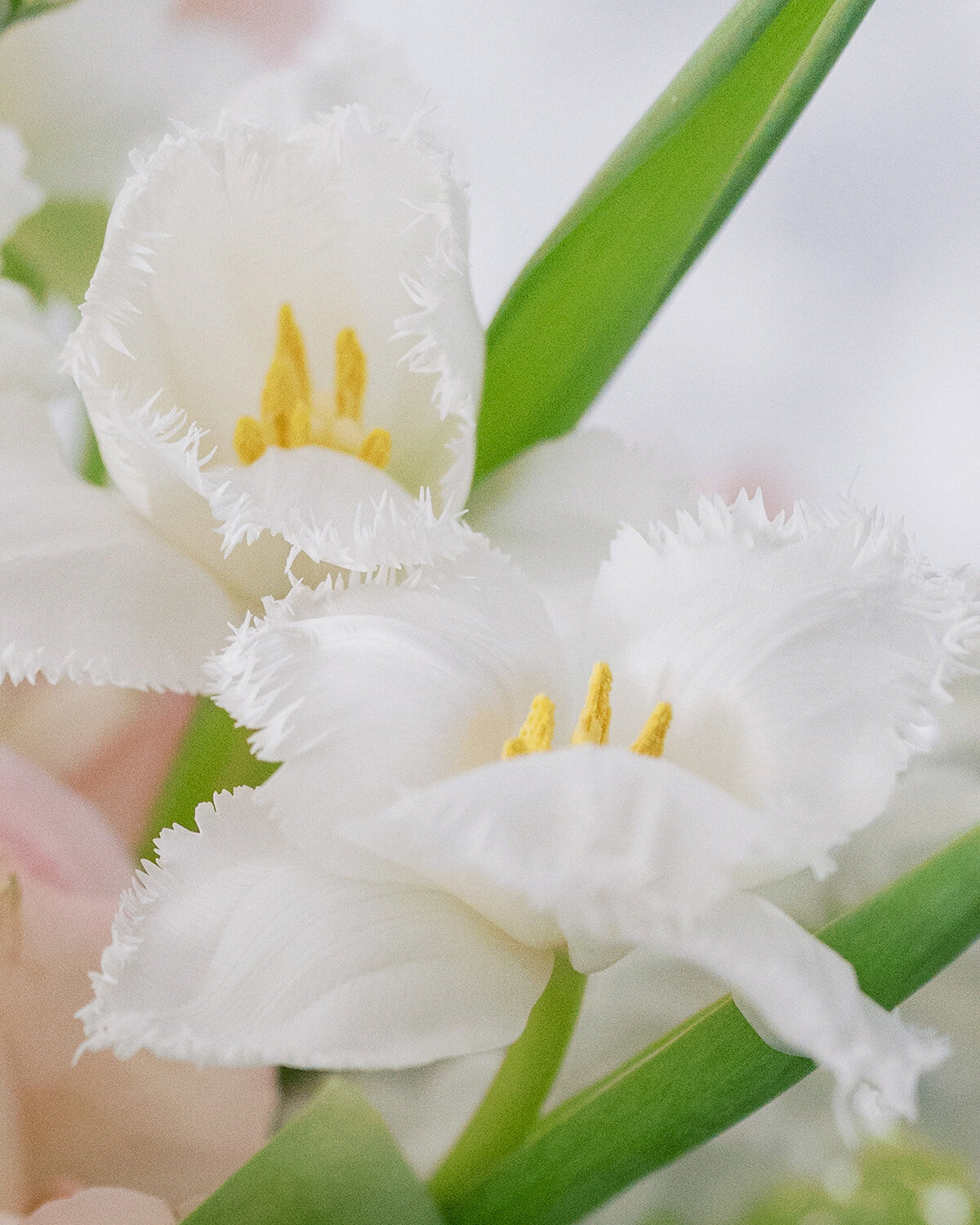 apricot floral wedding flowers