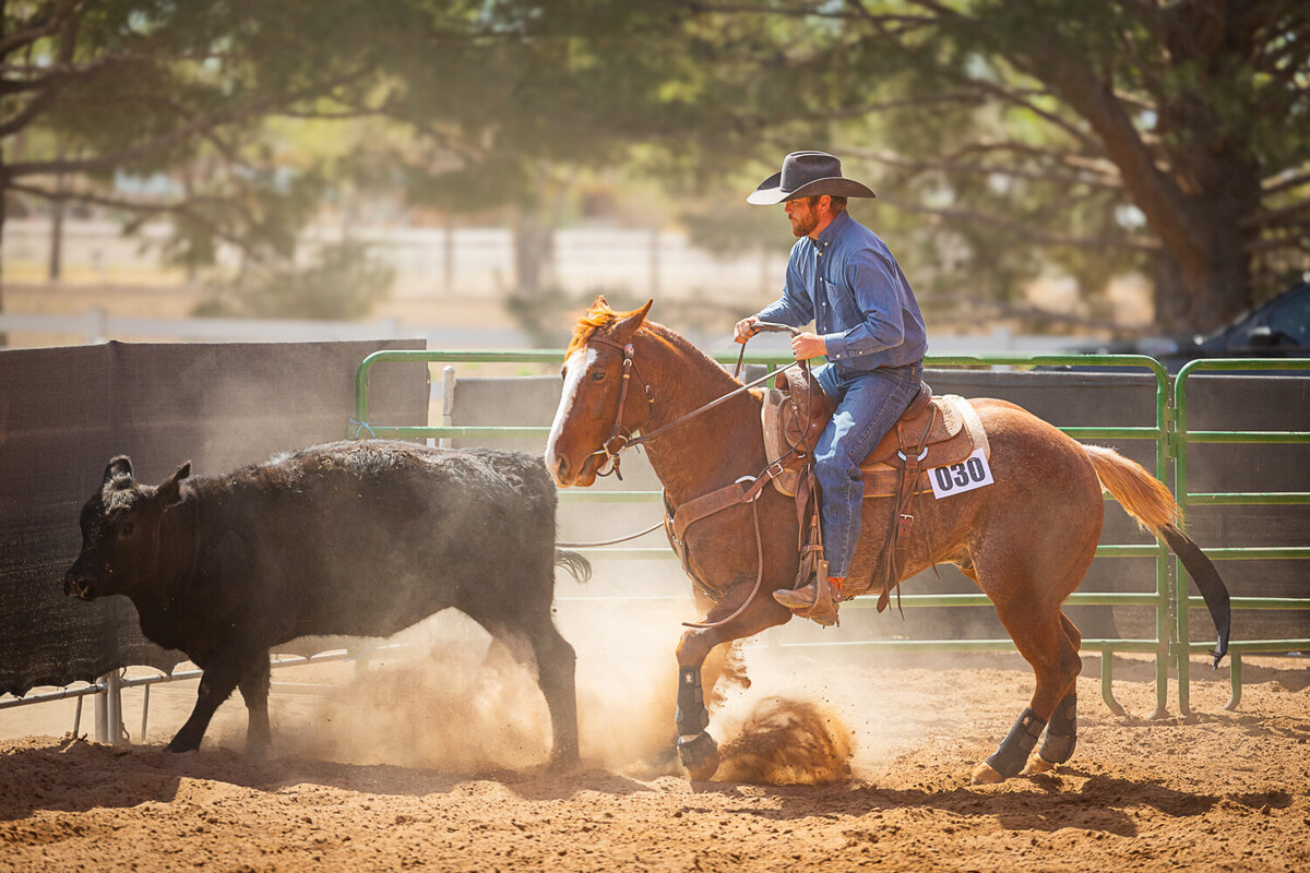 New-Mexico-Horse-Show-Photographer-041