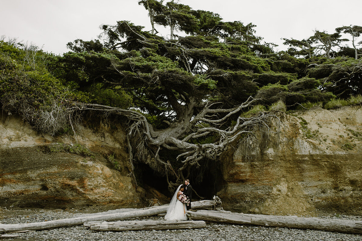 Bride & groom hugging under Tree of Life during Kalaloch Beach elopement in Olympic National Park!