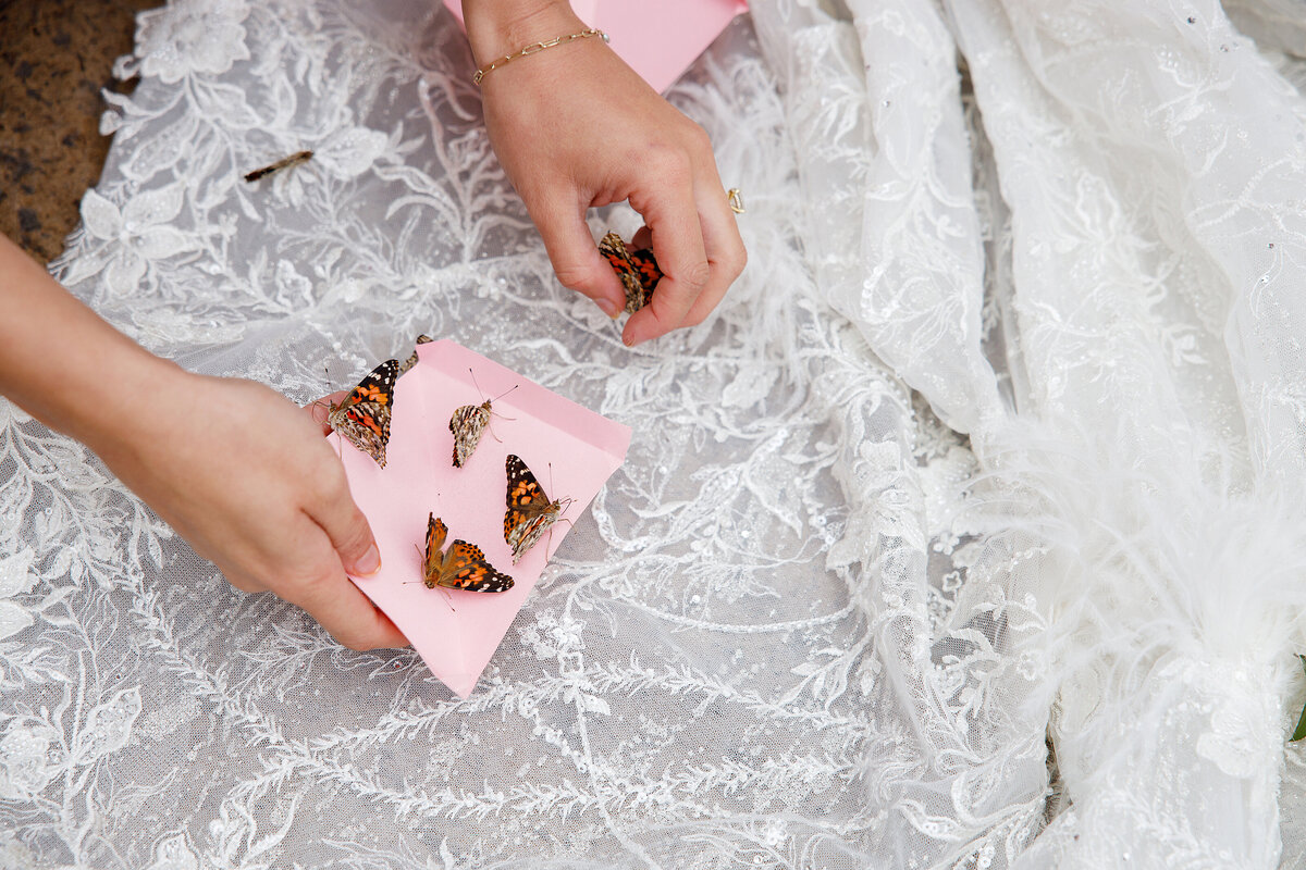 Knotting Hill Wedding Hampton Morrow Photography 0068