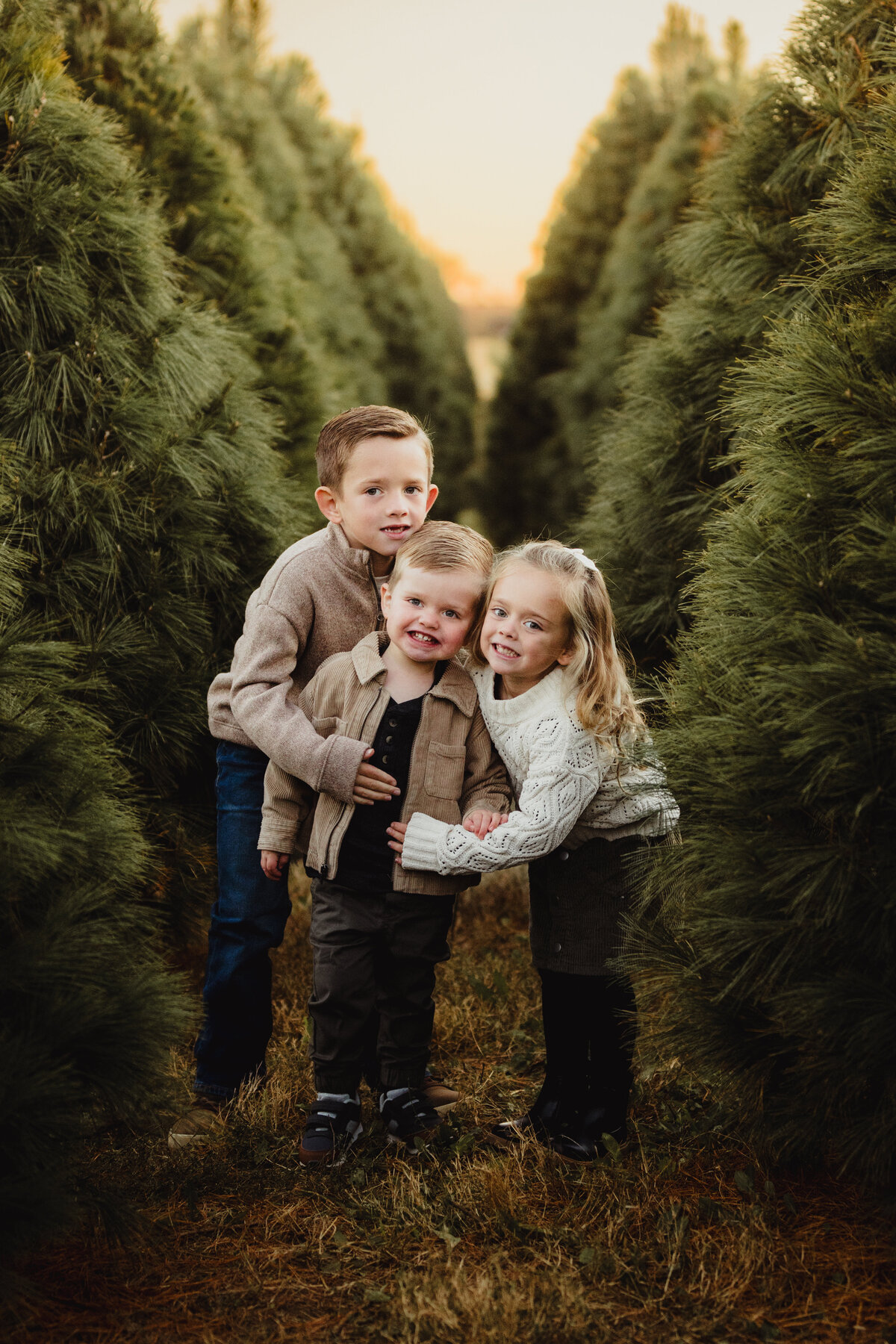 KristeenMarie-Photography-tree-farm-4046