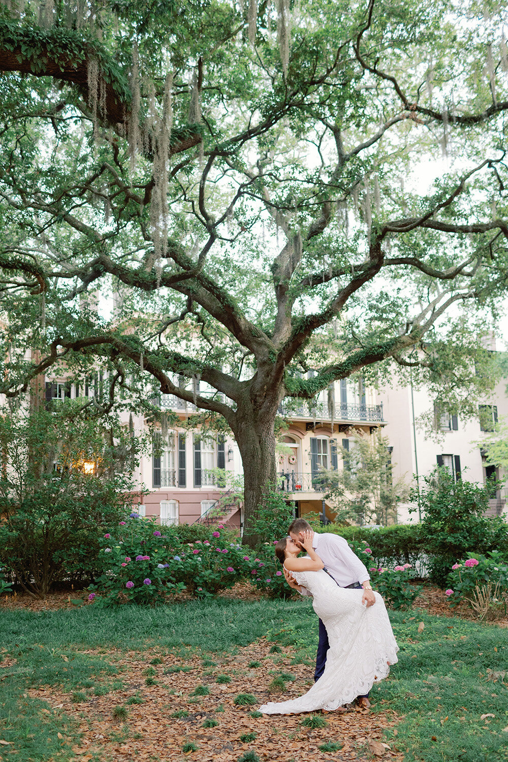 Groom dipping bride in front of oak tree.
