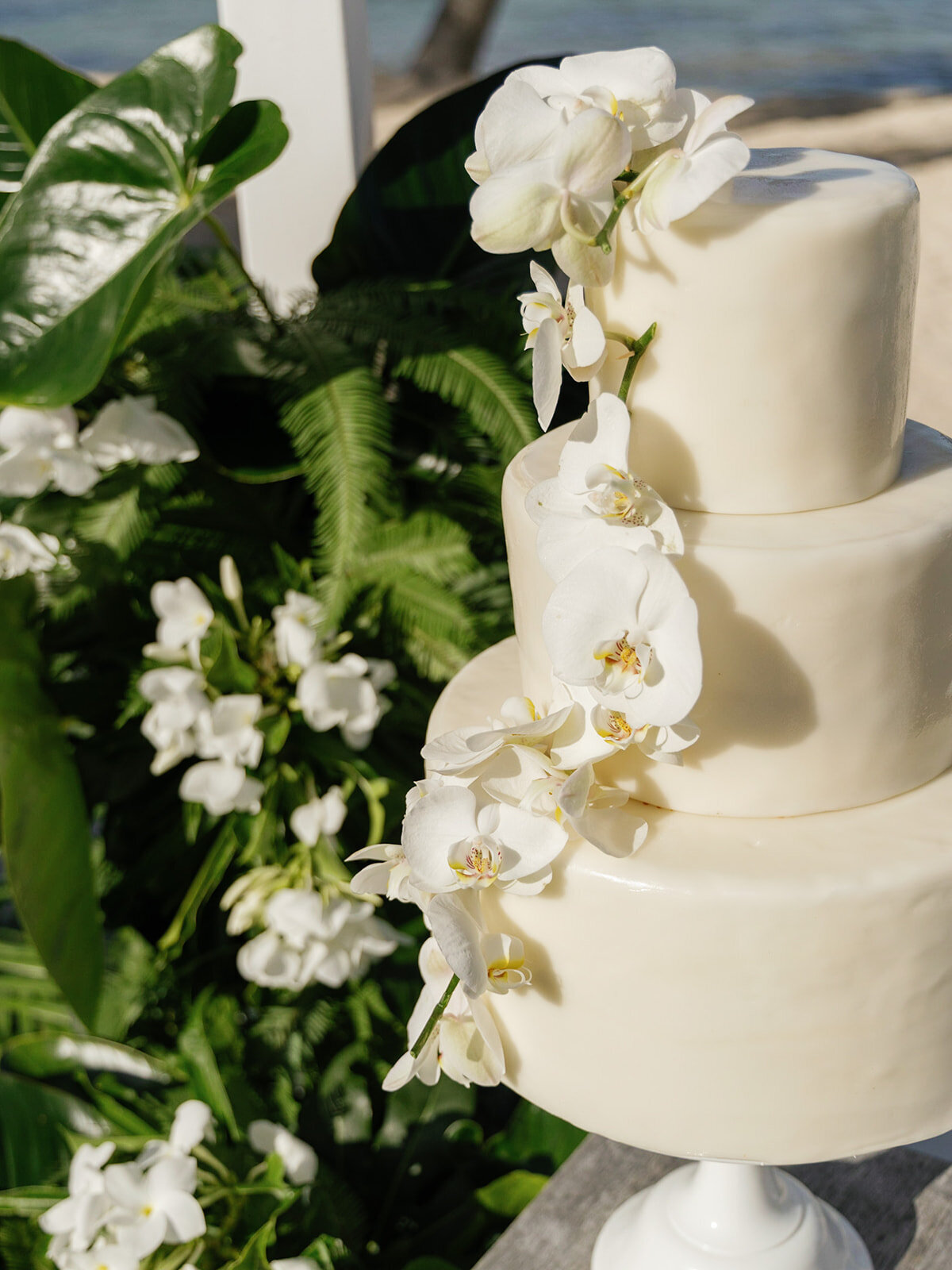 0250-Peter&Ray-StBarth-Wedding-May6th2023-(c)TisaSencur