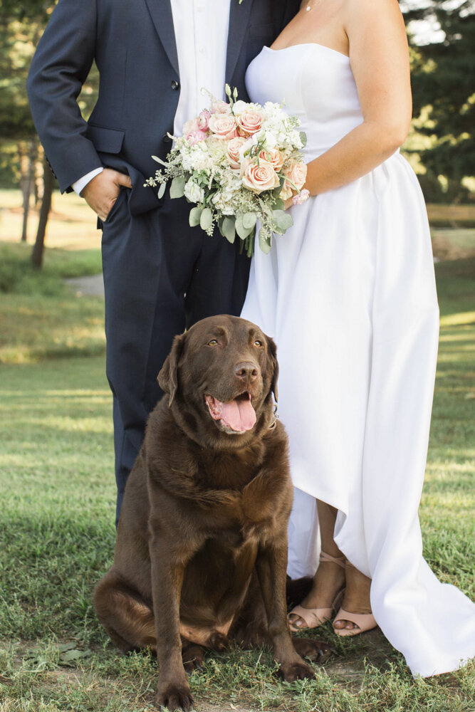 Newton-IL-backyard-wedding2