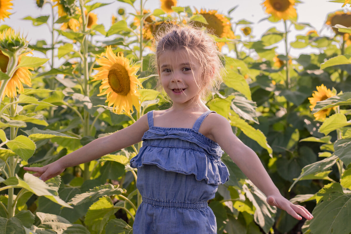 Martina Newport Photography - Lienhardt Family Sunflowers-9