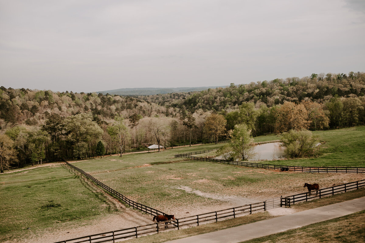Blackjack Farms photo