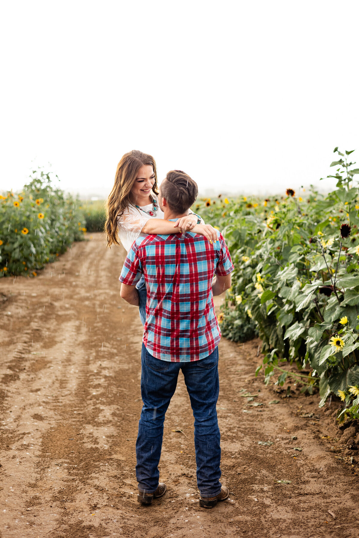 Colorado-sunflower-field-photography-8