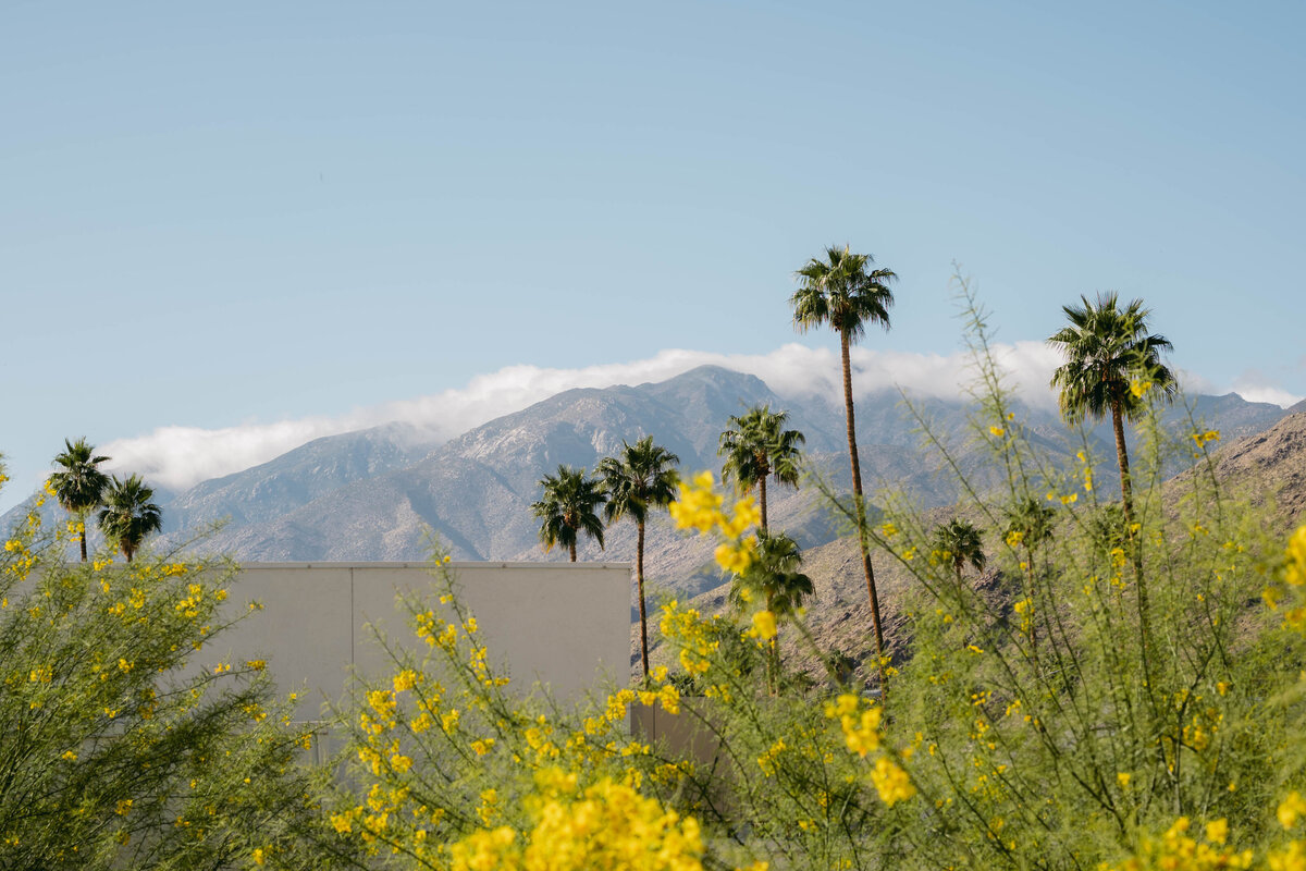 515-The-Parker-Palm-Springs-Jenna-Josh-Wedding-28
