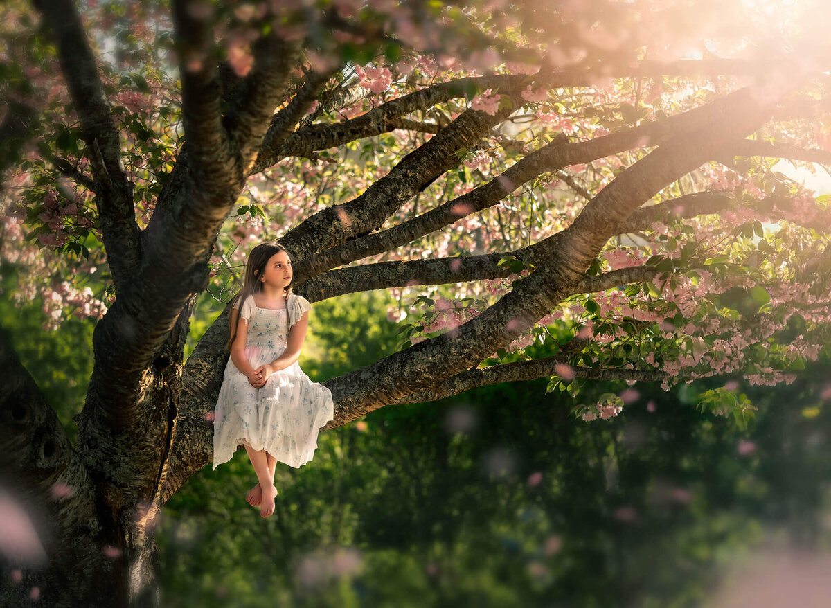 A young girl sits it a blooming tree surrounded by pink blooms. 