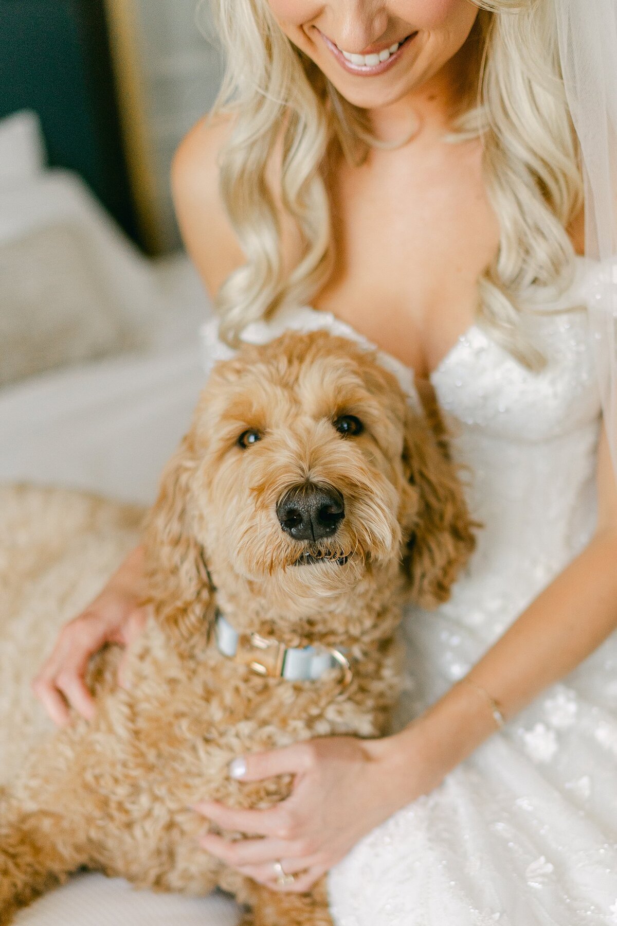 Hotel Carmichael Wedding Alison Mae Photography_1851