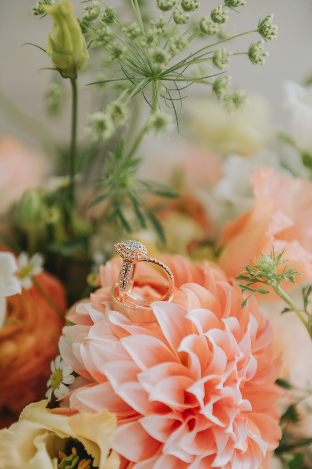A ring sits on a pink flower